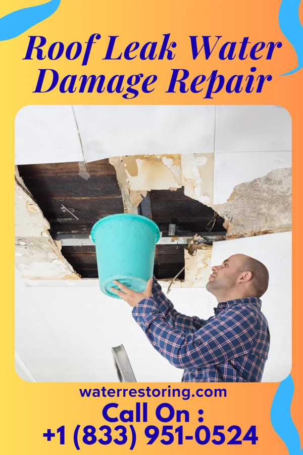 Roof Leak Water Damage Repair in John Sevier, TN