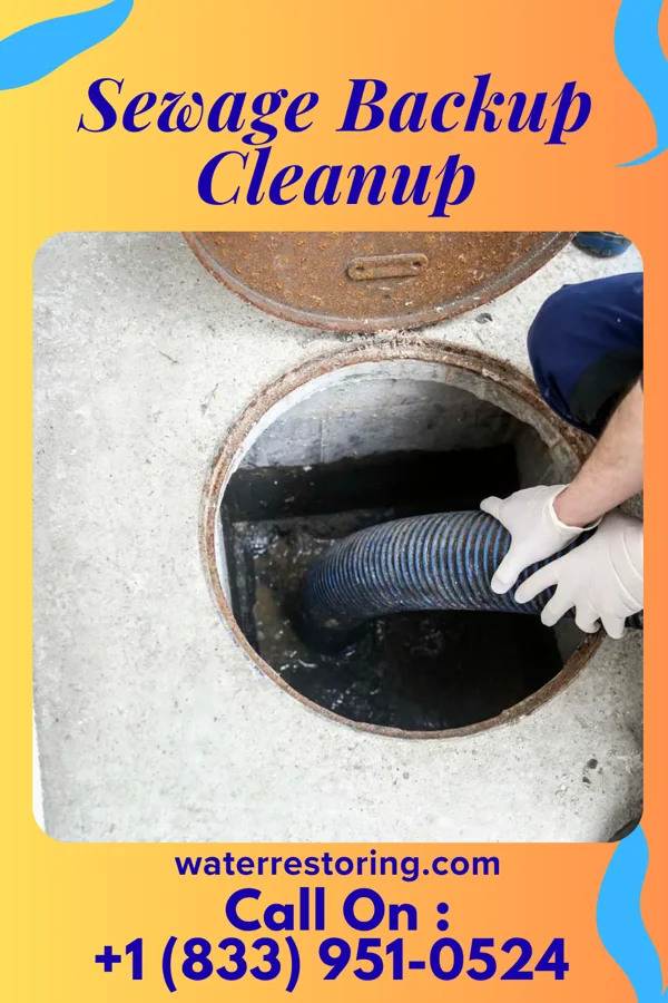 Sewage Backup Cleanup in John Sevier, TN